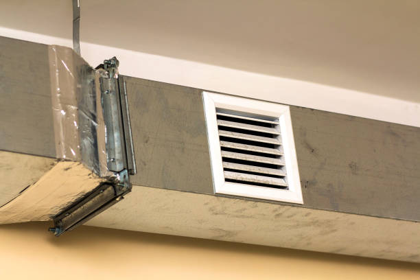 Air Duct Mold Removal in Charlotte Harbor, FL